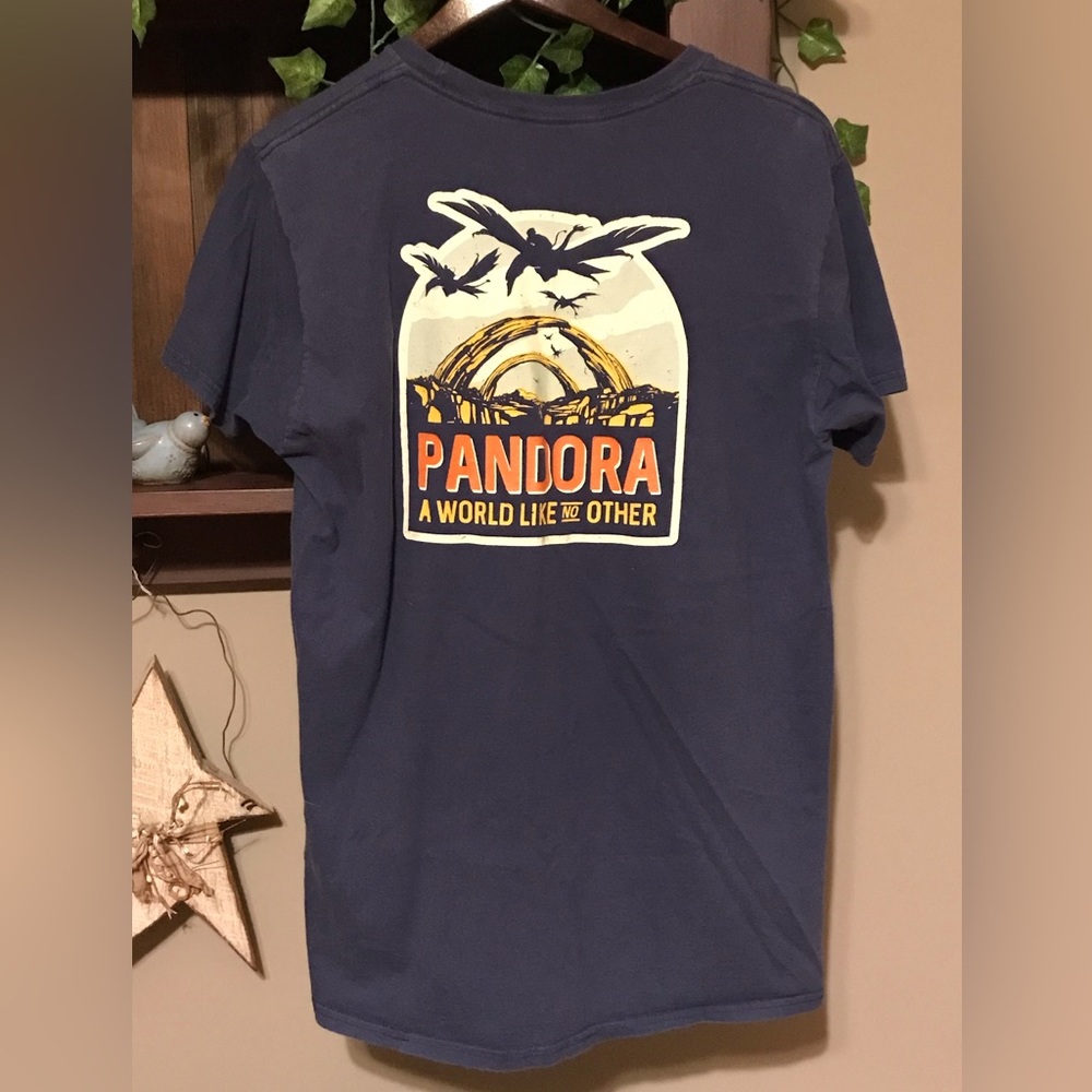 Host Pick Disney’s Animal Kingdom Pandora Graphic Tee Shirt